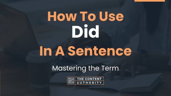 how-to-use-did-in-a-sentence-mastering-the-term