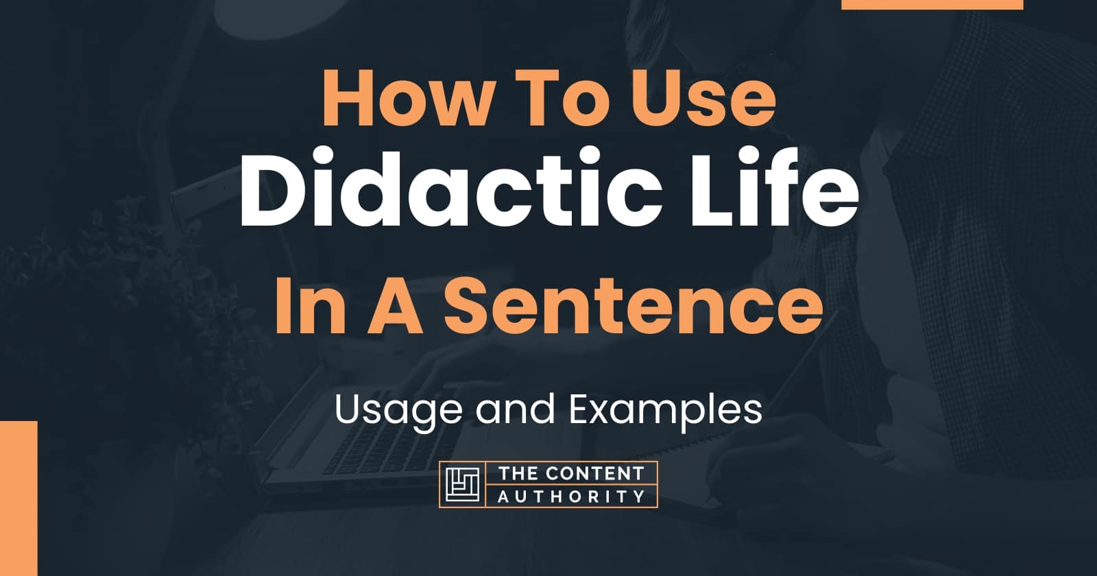 how-to-use-didactic-life-in-a-sentence-usage-and-examples