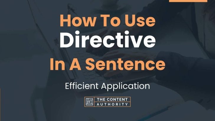 how-to-use-directive-in-a-sentence-efficient-application