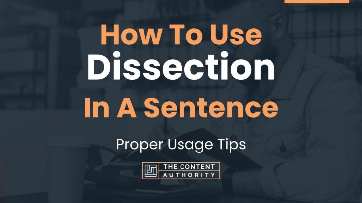 How To Use “Dissection” In A Sentence: Proper Usage Tips