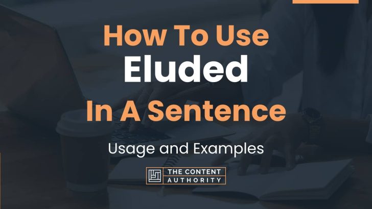 how-to-use-eluded-in-a-sentence-usage-and-examples