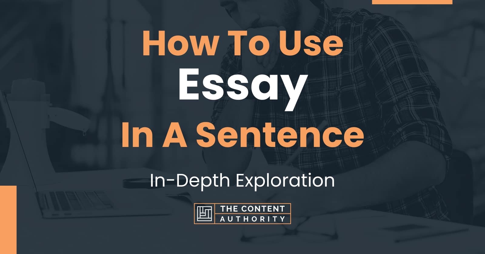 a sentence using essay