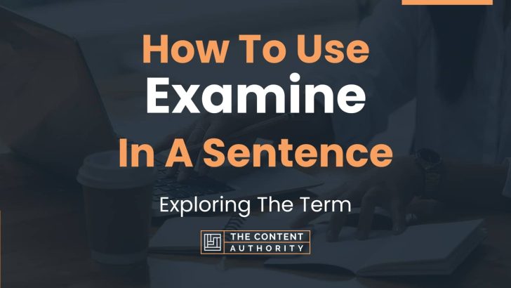 How To Use “Examine” In A Sentence: Exploring The Term