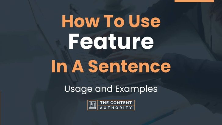 how-to-use-feature-in-a-sentence-usage-and-examples