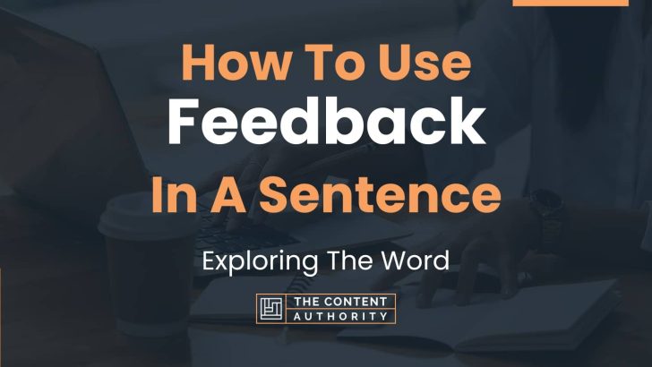 How To Use Feedback In A Sentence Exploring The Word 6941