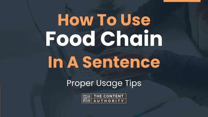 how-to-use-food-chain-in-a-sentence-proper-usage-tips