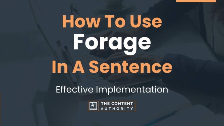 How To Use “Forage” In A Sentence: Effective Implementation