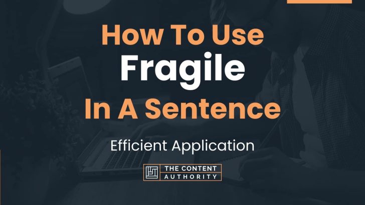 how-to-use-fragile-in-a-sentence-efficient-application