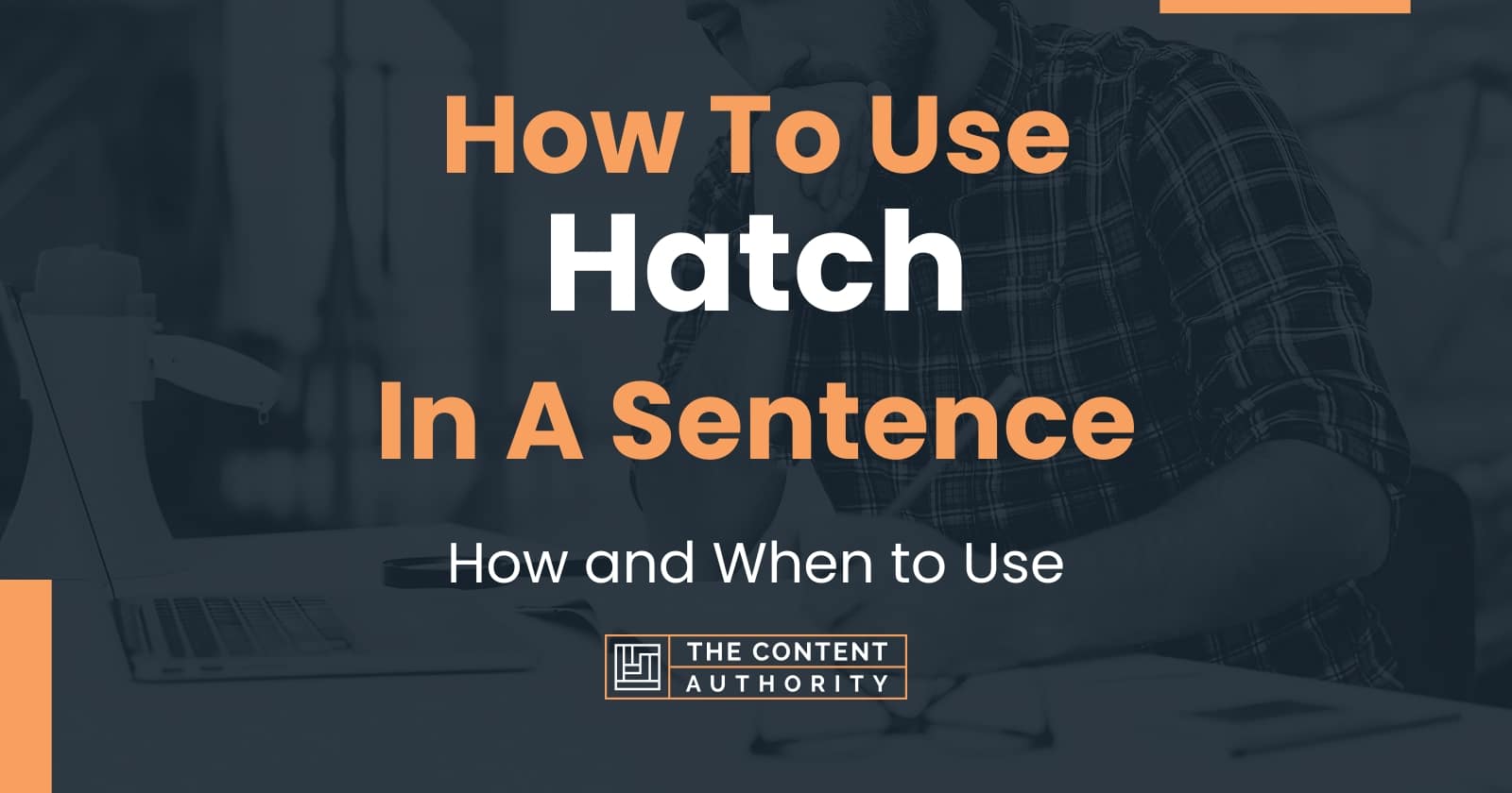 How To Use "Hatch" In A Sentence How and When to Use