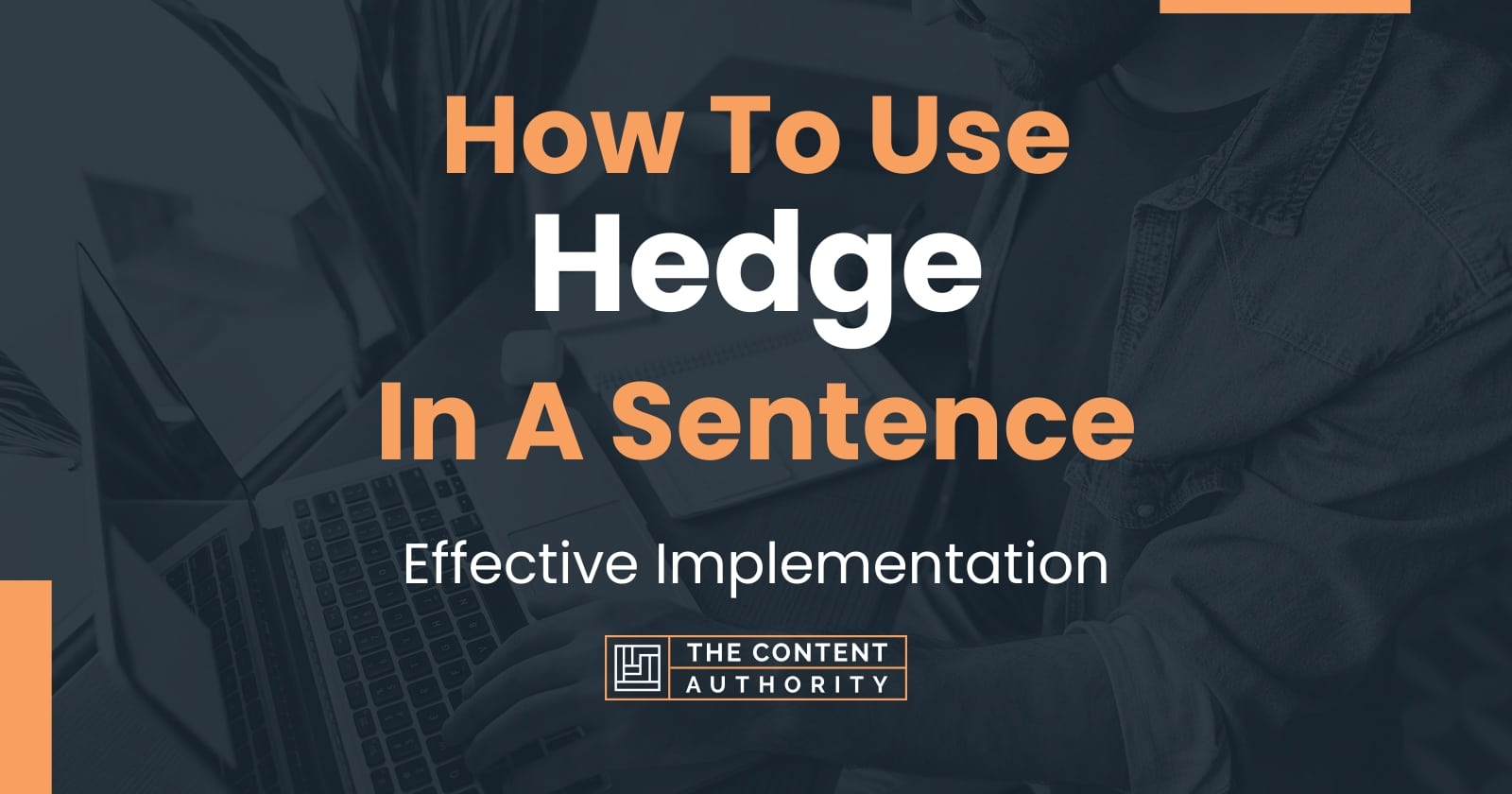 how-to-use-hedge-in-a-sentence-effective-implementation