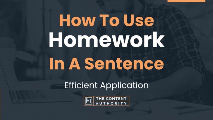 How To Use “Homework” In A Sentence: Efficient Application