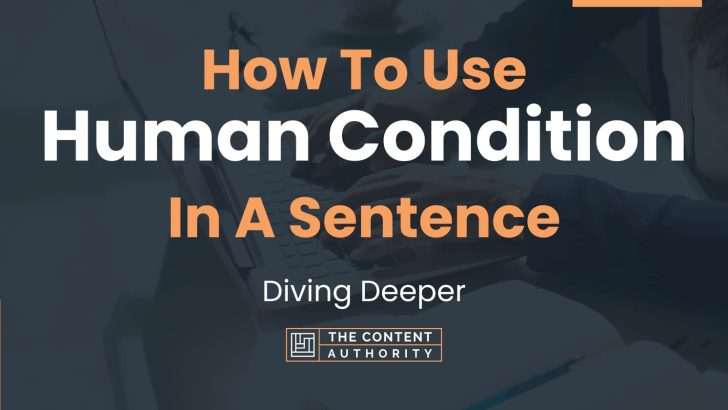 how-to-use-human-condition-in-a-sentence-diving-deeper