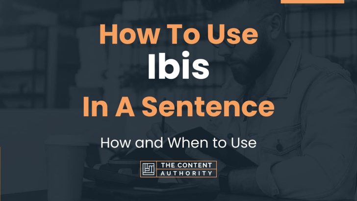 How To Use Ibis In A Sentence How And When To Use