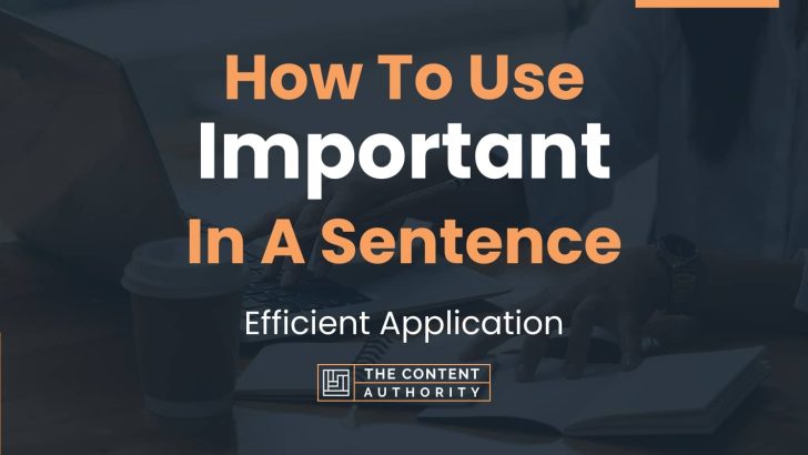 How To Use “Important” In A Sentence: Efficient Application