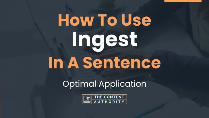 how-to-use-ingest-in-a-sentence-optimal-application