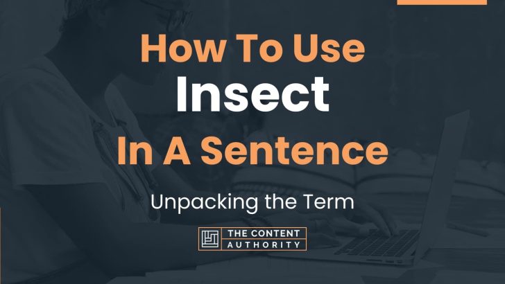 how-to-use-insect-in-a-sentence-unpacking-the-term