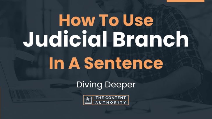 how-to-use-judicial-branch-in-a-sentence-diving-deeper