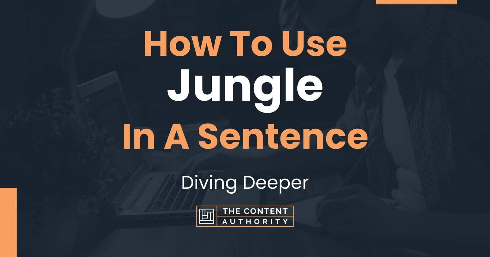 how-to-use-jungle-in-a-sentence-diving-deeper