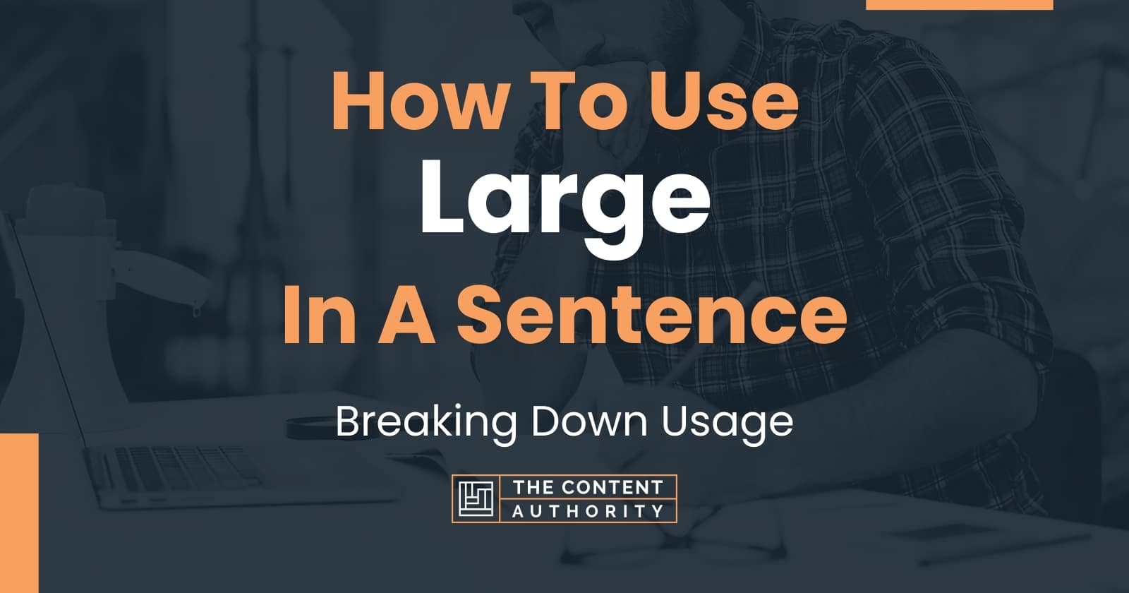 How To Use Large In A Sentence Breaking Down Usage