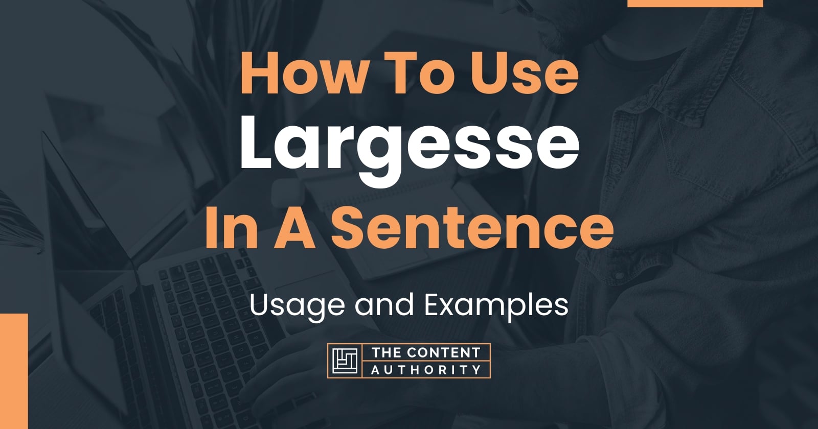 how-to-use-largesse-in-a-sentence-usage-and-examples