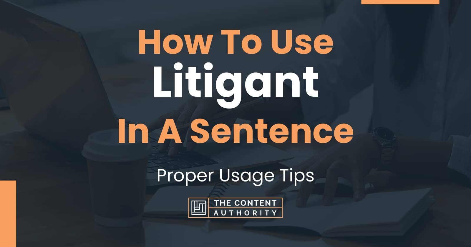 how-to-use-litigant-in-a-sentence-proper-usage-tips