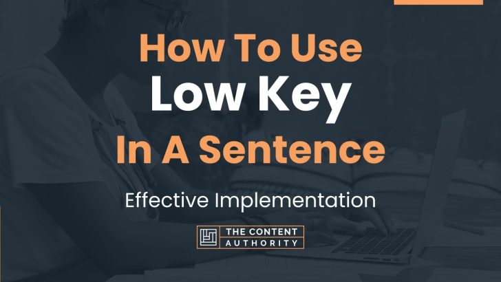 how-to-use-low-key-in-a-sentence-effective-implementation