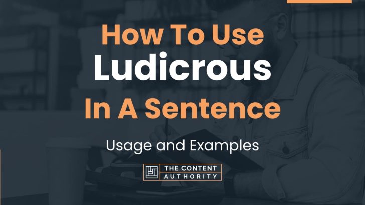 how-to-use-ludicrous-in-a-sentence-usage-and-examples