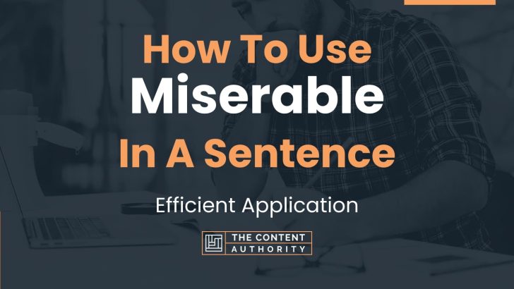 how-to-use-miserable-in-a-sentence-efficient-application