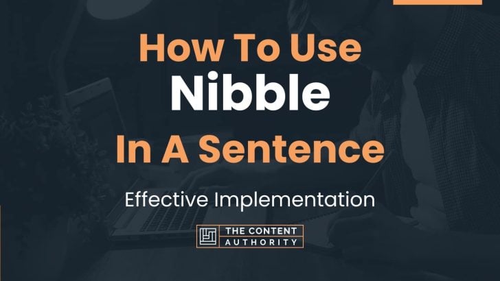 How To Use “Nibble” In A Sentence: Effective Implementation