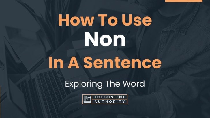 how-to-use-non-in-a-sentence-exploring-the-word