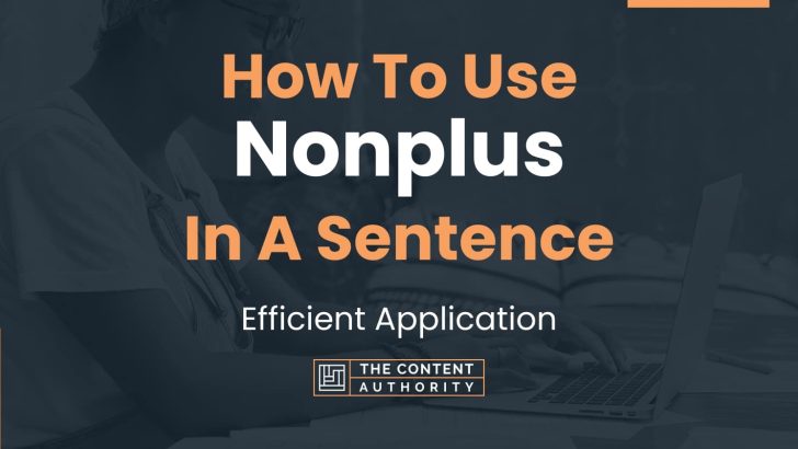 How To Use “Nonplus” In A Sentence: Efficient Application