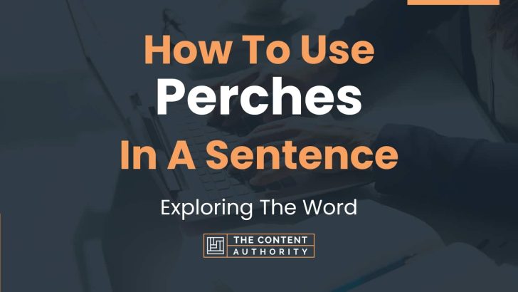 How To Use “Perches” In A Sentence: Exploring The Word