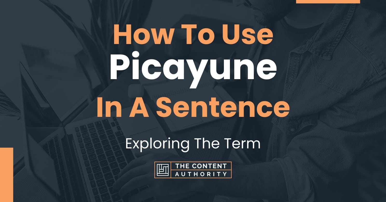 how-to-use-picayune-in-a-sentence-exploring-the-term