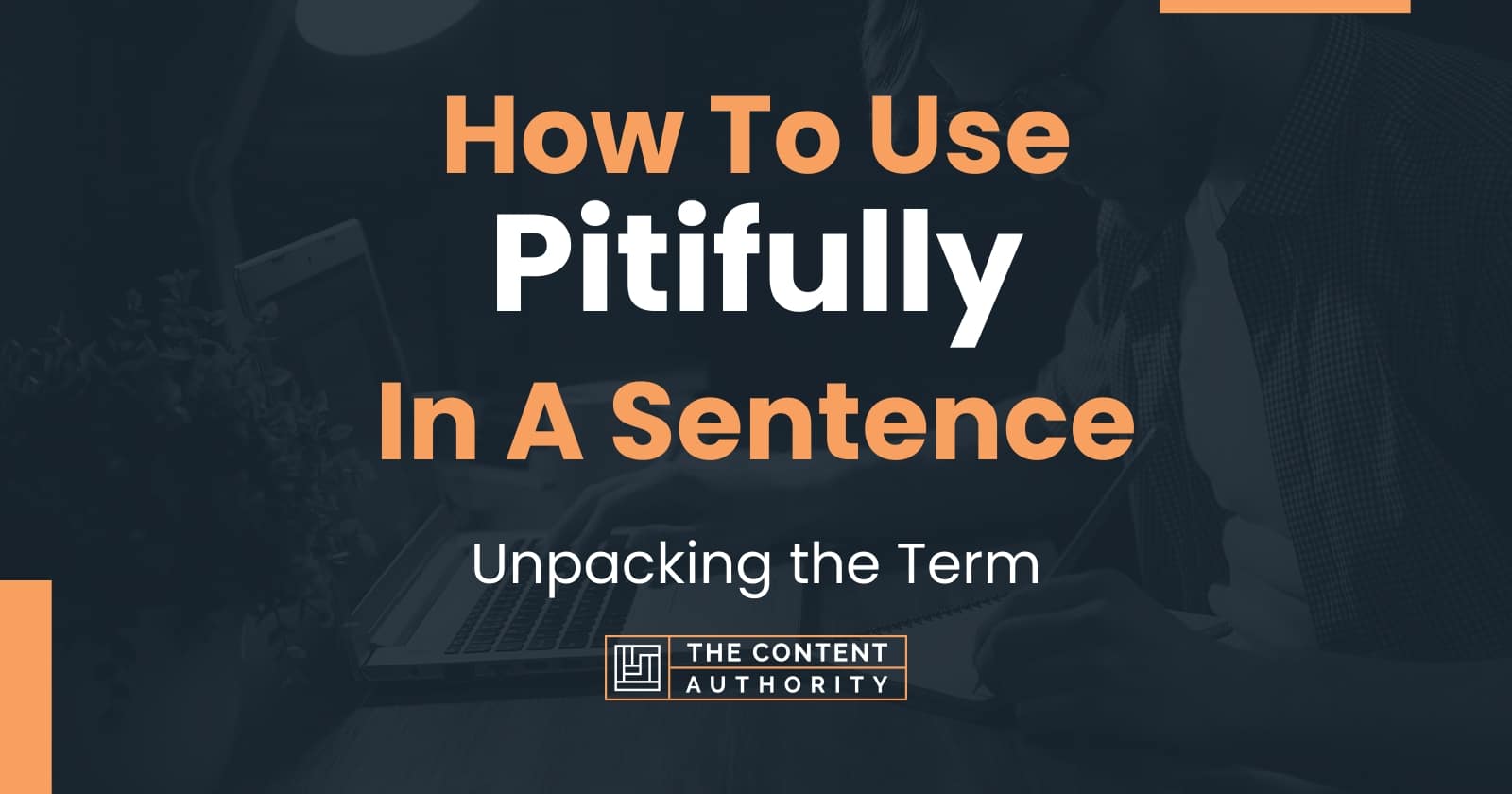 Make Sentence On Pitifully Word