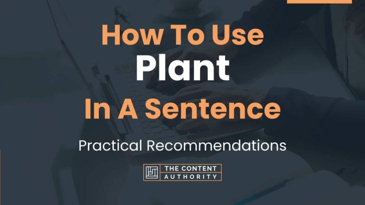 how-to-use-plant-in-a-sentence-practical-recommendations