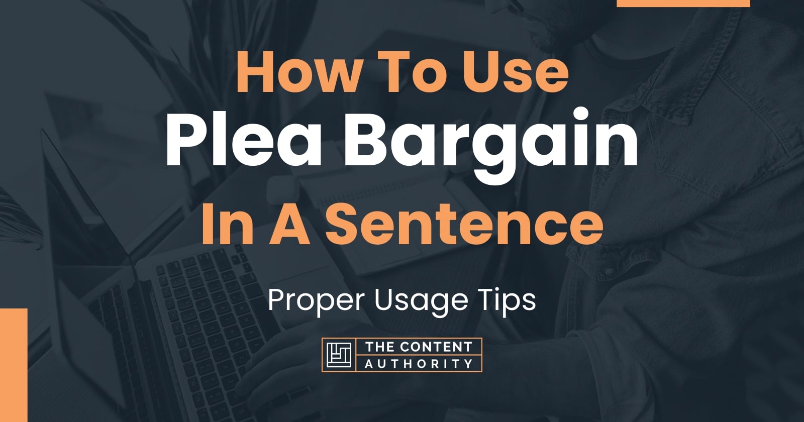 how-to-use-plea-bargain-in-a-sentence-proper-usage-tips