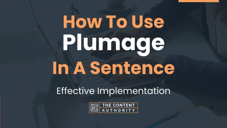 How To Use “Plumage” In A Sentence: Effective Implementation