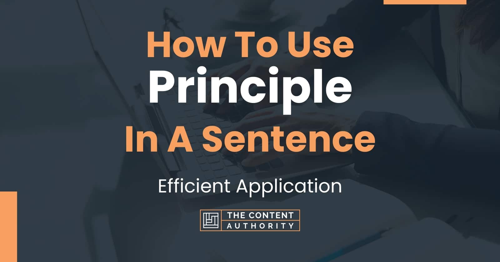 how-to-use-principle-in-a-sentence-efficient-application