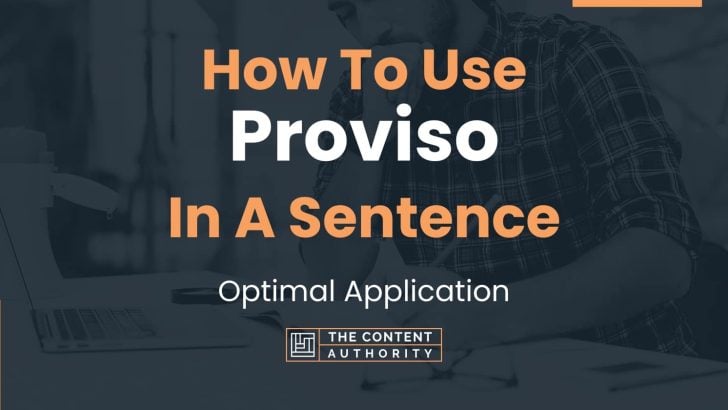 How To Use “Proviso” In A Sentence: Optimal Application