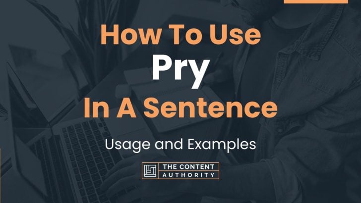 How To Use “Pry” In A Sentence: Usage and Examples