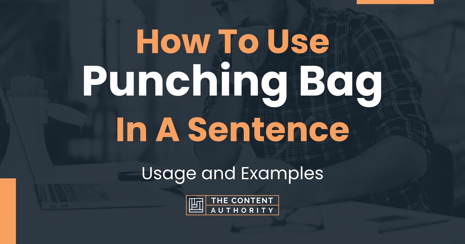 How To Use "Punching Bag" In A Sentence Usage and Examples