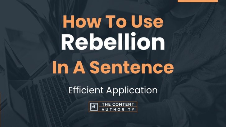 how-to-use-rebellion-in-a-sentence-efficient-application