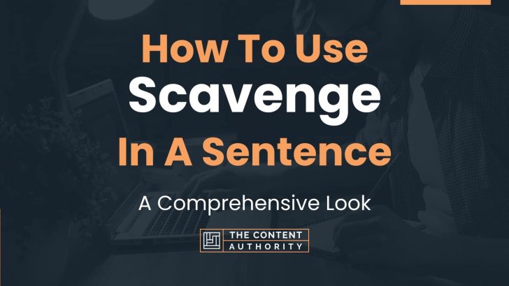 How To Use “Scavenge” In A Sentence: A Comprehensive Look
