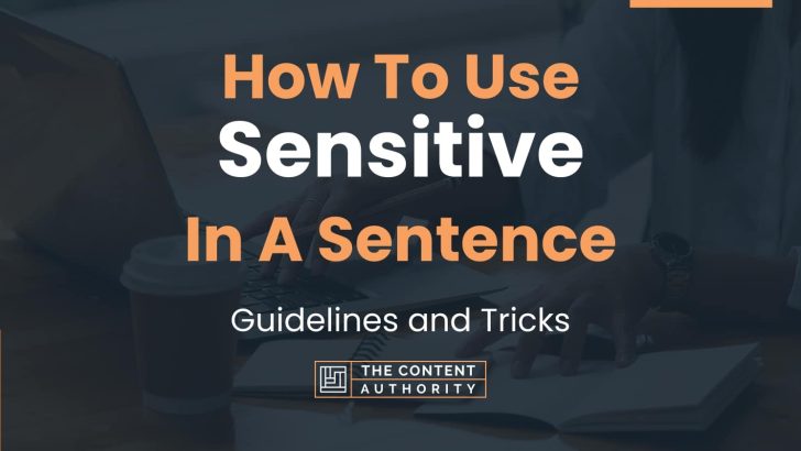 how-to-use-sensitive-in-a-sentence-guidelines-and-tricks