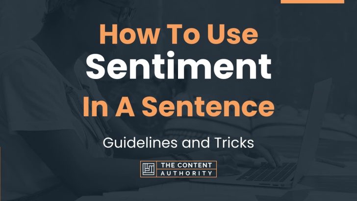 How To Use “Sentiment” In A Sentence: Guidelines and Tricks