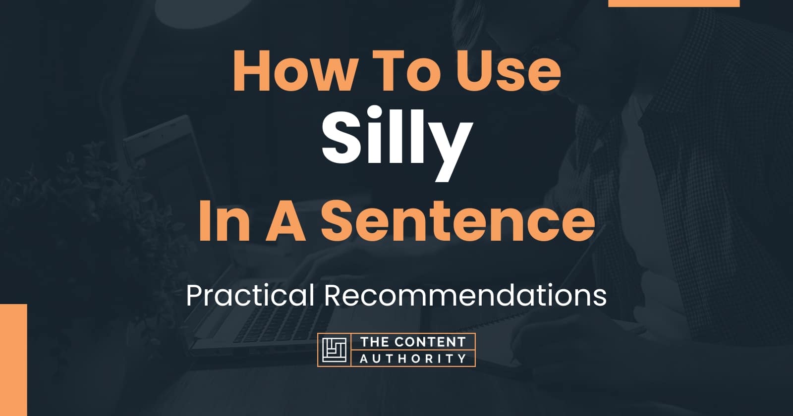 how-to-use-silly-in-a-sentence-practical-recommendations