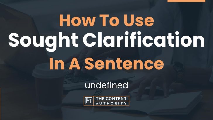 how-to-use-sought-clarification-in-a-sentence-undefined