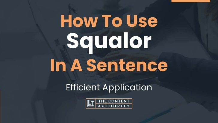 how-to-use-squalor-in-a-sentence-efficient-application