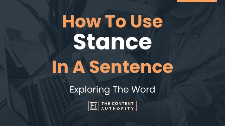 how-to-use-stance-in-a-sentence-exploring-the-word