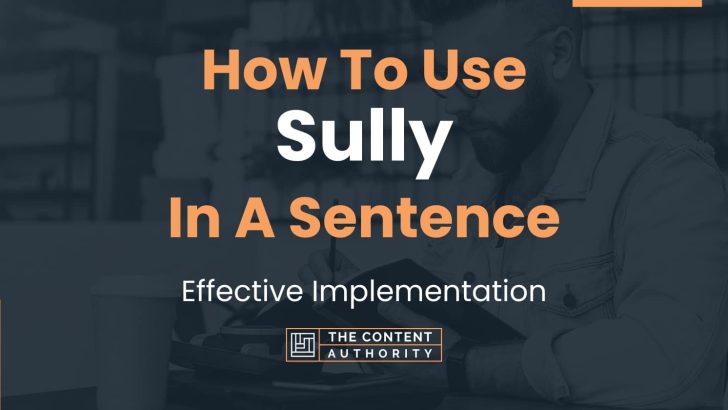 how-to-use-sully-in-a-sentence-effective-implementation